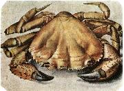 Albrecht Durer Lobster 1495 Watercolour and gouache Germany oil painting artist